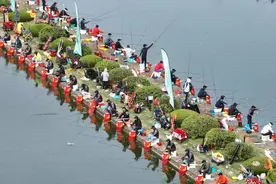 全国钓鱼高手云集太仓！这场鱼界大赛拉竿开赛图片