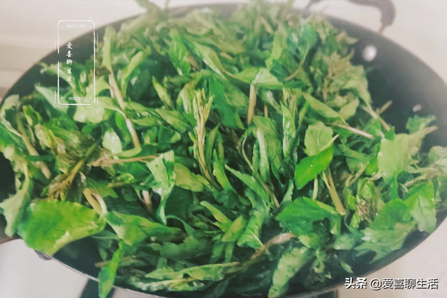 四月，吃荠菜不如吃它，鲜嫩正当季，好吃又防病，不懂吃就可惜了