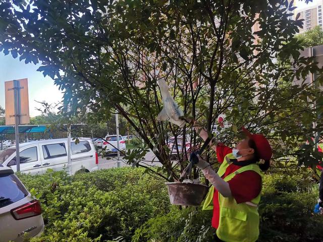 东湖新技术开辟区豹澥街分类专班黄金堂社区开展清洁家园活动