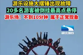 游乐设施大摆锤“停摆”，20多名游客倒挂空中，游乐场：属正常现象图片