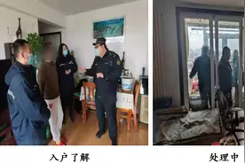 接诉即办——野鸽聚集惹民忧，迅速行动解民愁图片