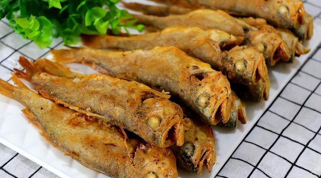 黄鱼和黄花鱼的区别图片 2025年黄鱼和黄花鱼的区别图片大全