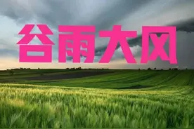 天气预报：今日谷雨，谷雨起大风有啥预兆？看看老祖宗怎么说的图片