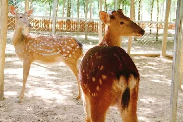 四川省民生研究会新媒体中心-官网