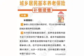 2023年城乡居民养老保险一次性补缴有何要求？一文了解图片