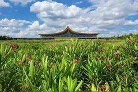 昆明长水国际机场关于调整值机柜台的公告图片