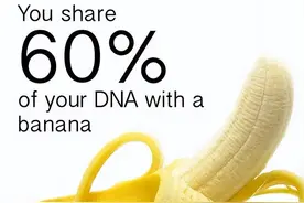 这些冷知识,你都知道吗?图片