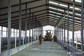 通榆县把向海乡复兴村打造成新时代乡村全面振兴的村级标杆图片