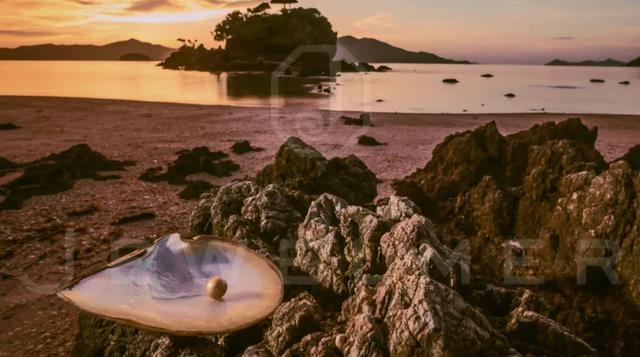 「干货」南洋金珠专题直播精彩集锦,专家教你怎么看南洋珍珠