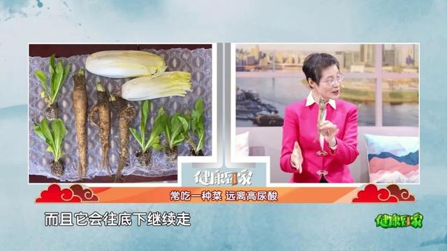 菊苣全身都是“宝”，做菜吃、泡茶喝，清热利湿，降尿酸