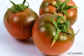 1斤15元，“碱地柿子”为啥好吃？不神秘，做到3点，你也能种图片