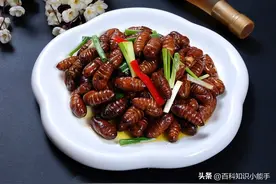 虫子竟然还能吃？你都知道哪些可以食用的虫子，快来看一看图片