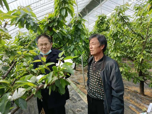 氨基酸营养液涂干究竟是坑还是金？