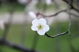 在微信上，请远离“心穷”的人图片