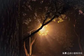 我爱这撩人的秋夜图片