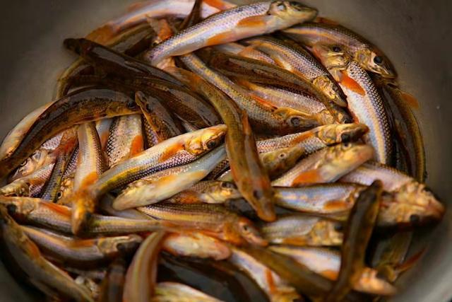 榛戦緳姹熼奔绫讳箣鈥滀笁鍗佷簩鏉傞奔鈥濆浘璋? onerror=