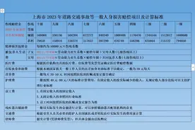 上海交通事故赔偿标准2023图片