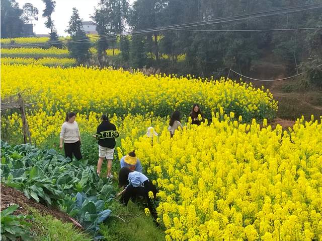 四川省民生研究会新媒体中心-官网