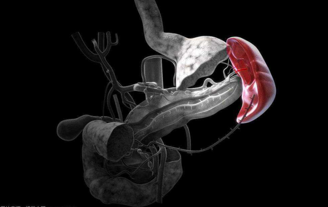 �������������٣�һ�����ͻ�Ī���������ǳ��������ǽ������ƣ�