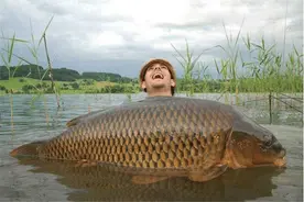 欧美国家为何不吃淡水鱼？是真不会做吗？ 看完他们的河流就明白！图片