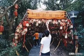 何谓遗憾：你来、我往、皆为过客图片