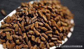 「芳草百味」决明子—养肝、祛风湿