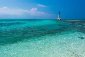 MBTI人格男生受异性欢迎的程度图片