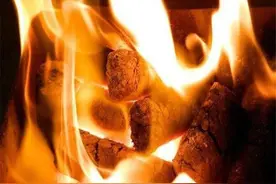 生物质做成的颗粒热值是多少？市面上多少钱一吨？利润怎样图片