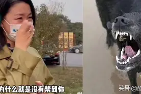 狗霸王们，尝尝人民群众的铁拳图片