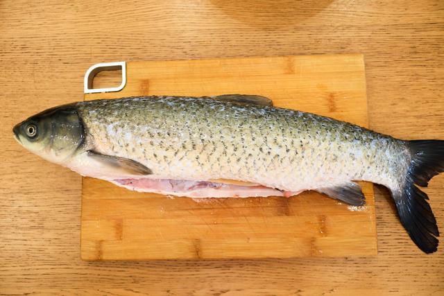 鱼的花胶怎么吃好 鱼的花胶怎么吃好吃又营养