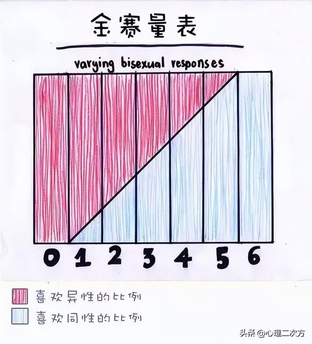 是不是同性恋测试:47号绳艺师推荐权威性取向测试?