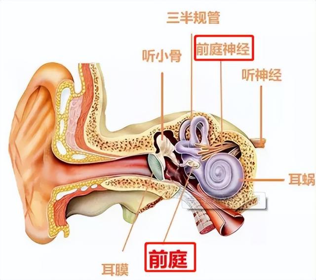 头晕是怎么回事  