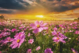 想念一个爱而不得的人，情深一辈子，铭记一辈子图片