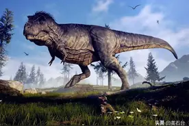 2018年，浅滩里捡到的黄蜡石上有只玉恐龙，6800万少一分都不卖图片