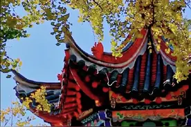 一脚踏进翠湖，心都醉了，深秋时节的诗情画意就在这里图片