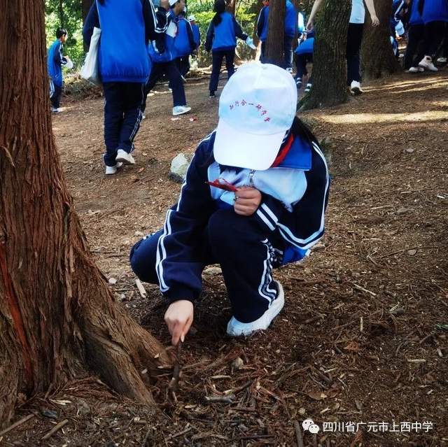 四川省民生研究会新媒体中心-官网