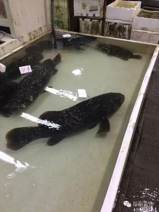 40头的花胶是几级 2025年花胶40头是什么意思?