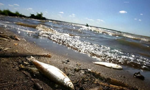 动真格！日本核污水正式排海，国家点名福建、广东和浙江