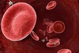 什么是熊猫血 熊猫血是什么血型图片