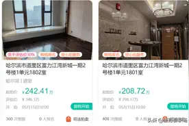 歌手曲婉婷核心地段两套房被法拍，谁来替下岗工人们发声！图片