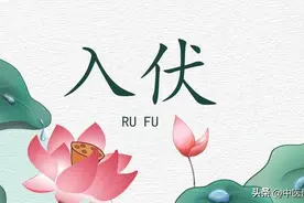 趁着三伏天，补阳祛寒，教你5个中成药，赶走心 肝 脾 肺 肾的寒气图片