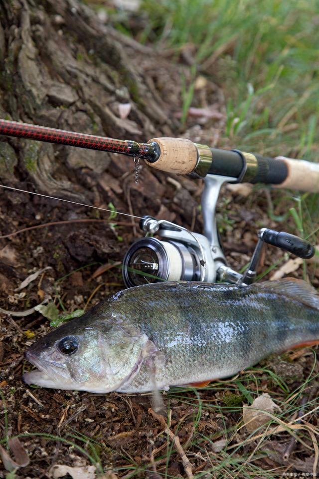 ����������ߡ����������֮·�ǰ���