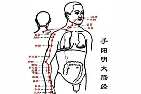 手阳明大肠经图片