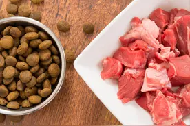 狗粮是用什么配方做的？图片