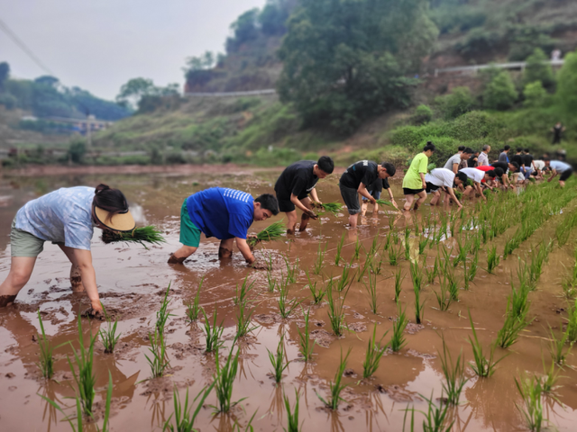 四川省民生研究会新媒体中心-官网
