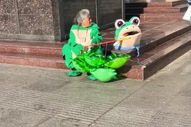 偌大的上海，竟容不下一只小青蛙？图片