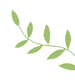 “您好，这里是武汉东湖新技术开发区人民检察院12309检察服务热线！”