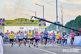 吃龙虾、赏美景，2024“潜马”开始报名啦！图片