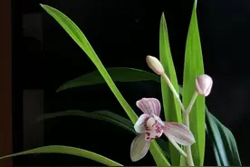 与人相处，一定要记住这条忠告，尤其是第七条。图片