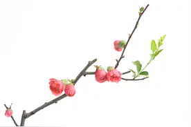 十大灵异小说盘点，第一本实至名归图片